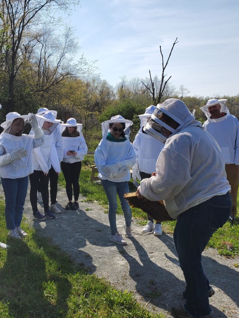 the beekeeper is showing a bee frame to a group of students
