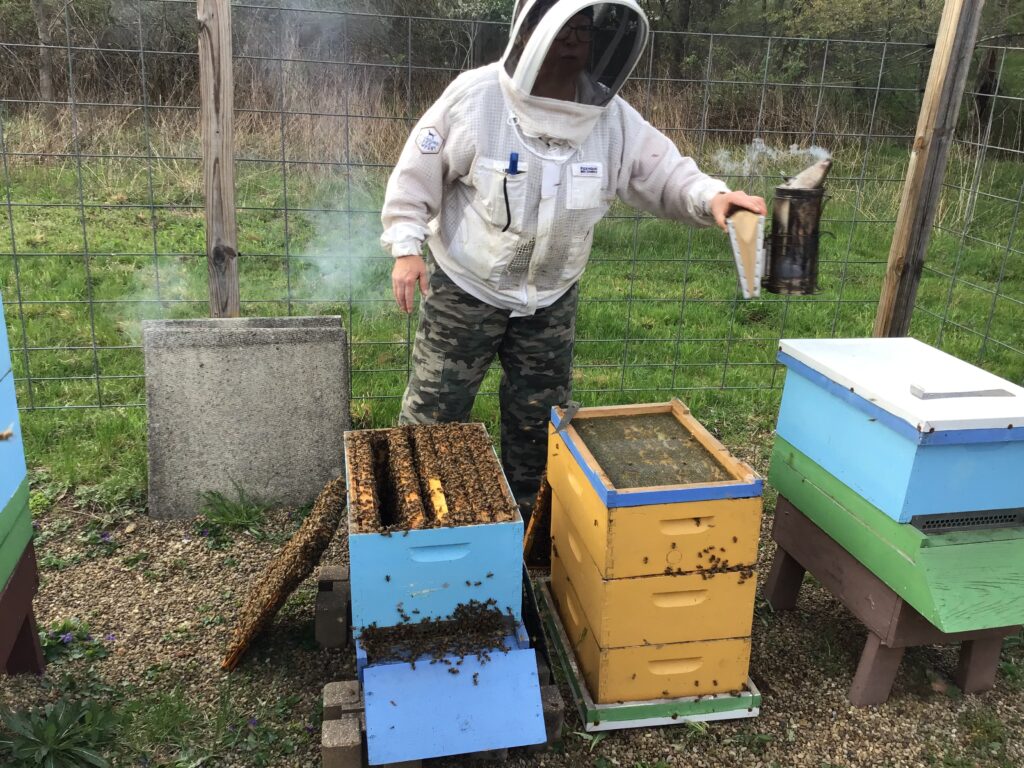 an action shot of the bee keeper working at the hives
