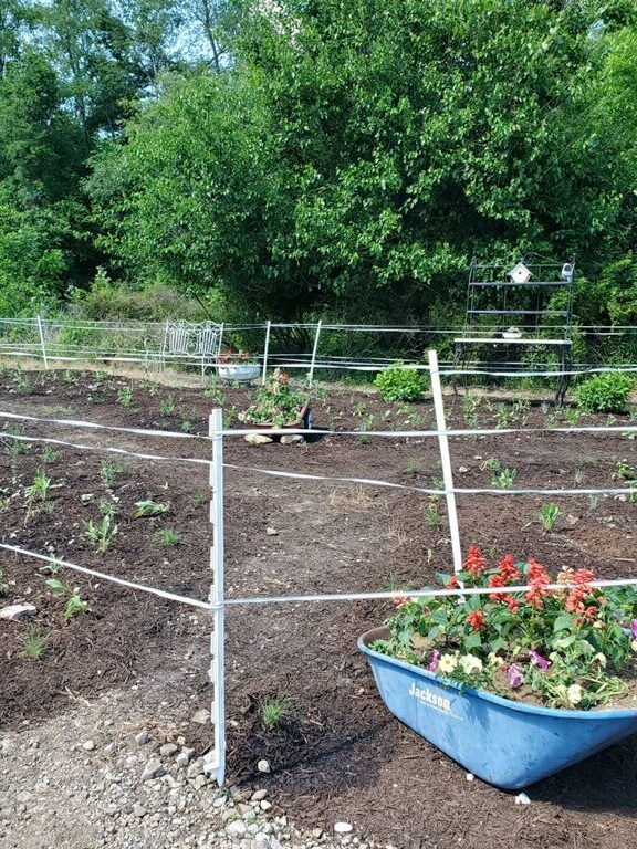 The garden with plants freshly planted and fertilized.