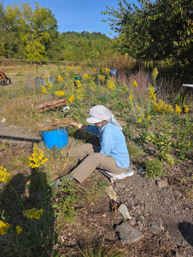 Patti sitting on the ground weeding the garden in the Fall 2025