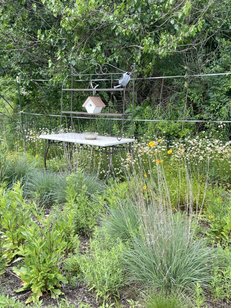 The garden full of plants in bloom.