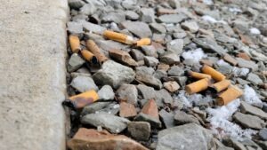 cigarette butts laying on the ground as a sample of litter